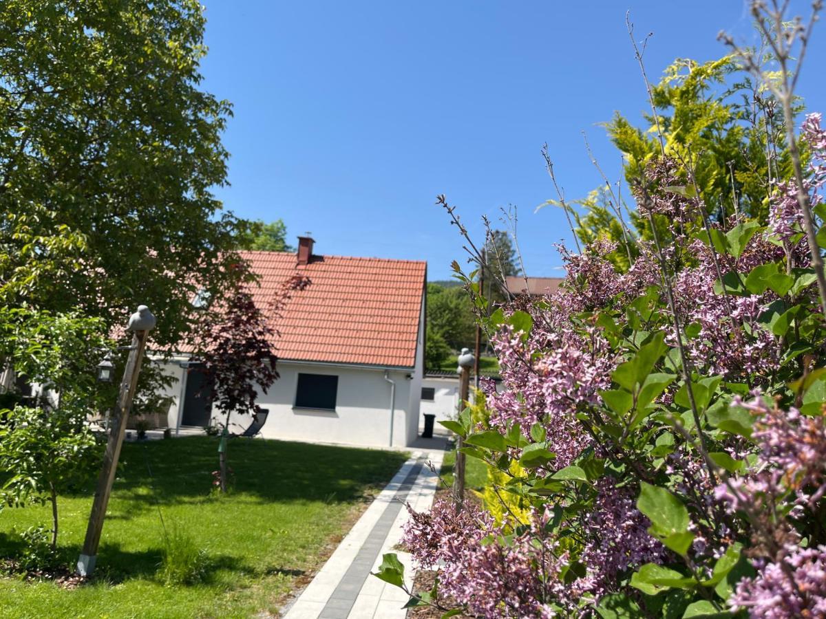 Haus Mit Garten Familie Pabst Maria Lankowitz Eksteriør billede