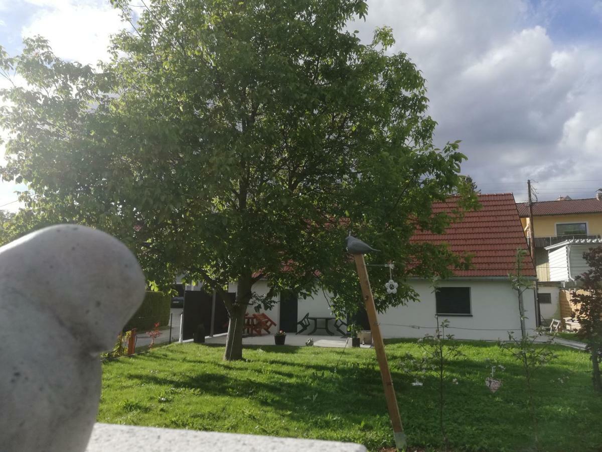 Haus Mit Garten Familie Pabst Maria Lankowitz Eksteriør billede